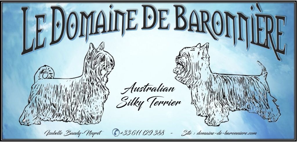 du domaine de Baronniere - Nouvelle Bannière pour les Silky-Terriers