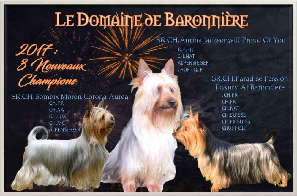 du domaine de Baronniere - BILAN ANNEE 2017