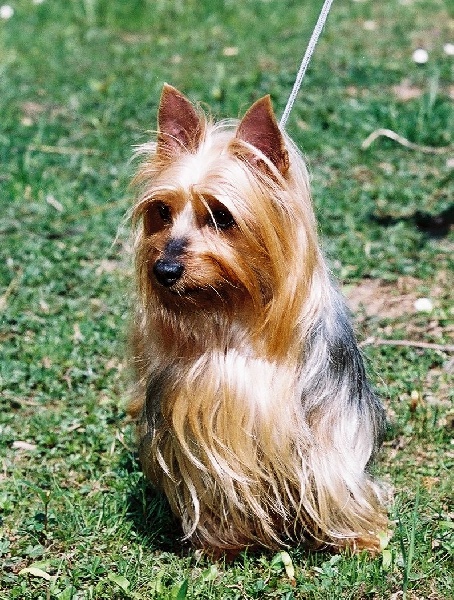 CH. Océane du domaine de Baronniere